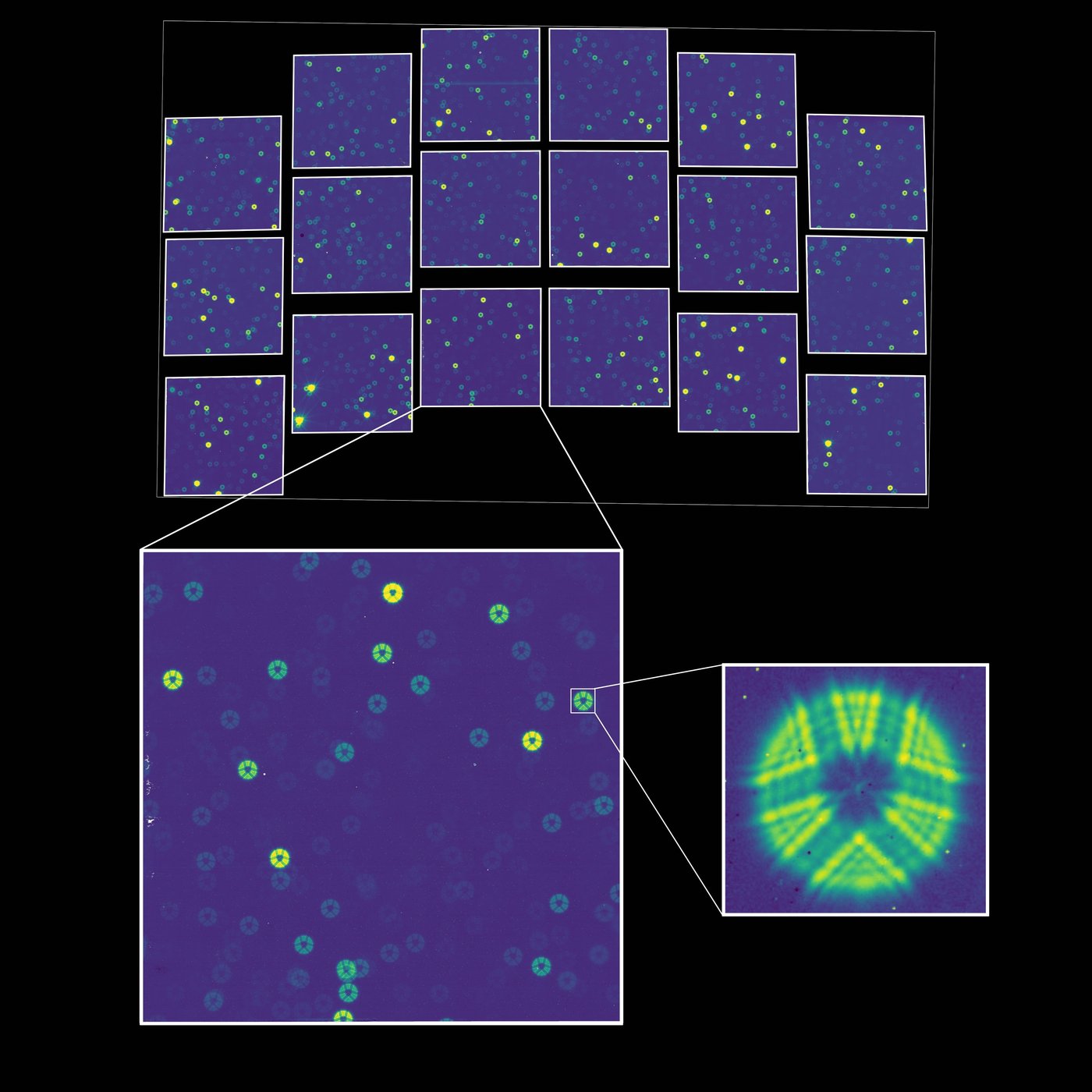 Roman's first test image, a grid of the Wide Field Instrument's eighteen detectors dotted with out-of-focus stars, with insets zooming to one detector and then to a single donut-shaped star image.